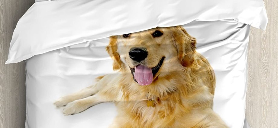 Bed linen For Your Golden