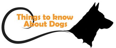 Things To Know About Dogs