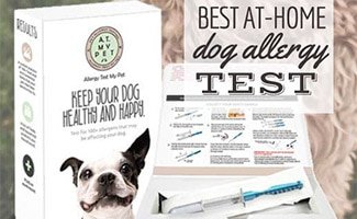 Dog allergy test (caption: Best At-Home Dog Allergy Test Kits)