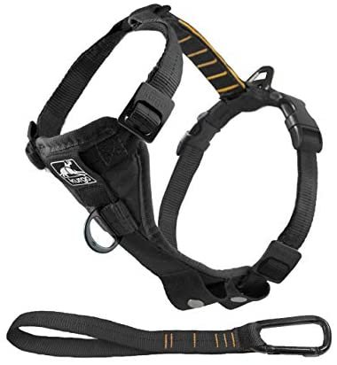 Kurgo Tru-Fir Smart Harness, Dog Harness, Pet Walking Harness, Quick Release Buckles, Front D-Ring for No Pull Training, Includes Dog Seat Belt Tether, For Small, Medium, & Large Dogs