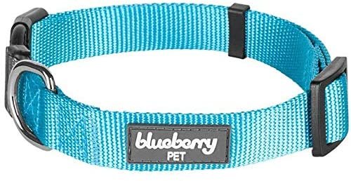 Blueberry Pet Essentials 20+ Colors Classic Dog Collars, Personalized Dog Collars