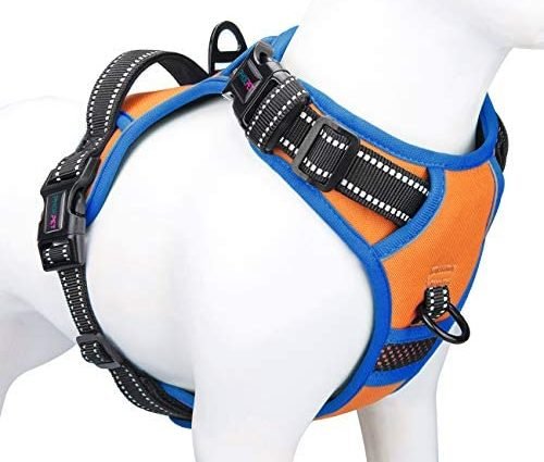PHOEPET 2019 Upgraded No Pull Dog Harness, Unique Colors Reflective Adjustable Vest, with a Training Handle + 2 Metal Leash Hooks+ 3 Snap Buckles +4 Slide Buckles [Easy to Put on & Take Off]