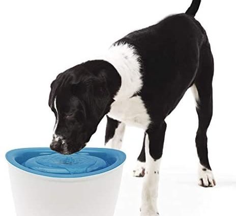Zeus Fresh & Clear Elevated Dog and Cat Water Dispenser, Large Drinking Water Fountain with Purifying Filter, 6L Capacity