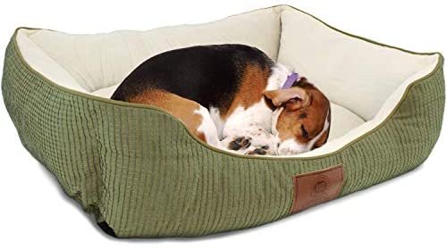 American Kennel Club Small Sage Dog Bed, Solid Weave Cuddler, AKC Pet Cuddler