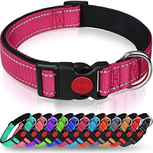 Taglory Reflective Dog Collar with Safety Locking Buckle, Adjustable Nylon Pet Collars for Small Dogs, S, Hot Pink