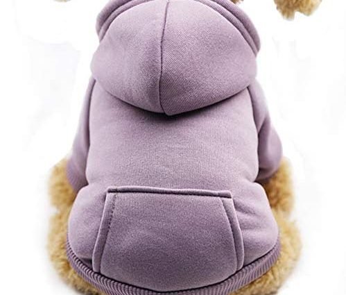 Fashion Focus On New Winter Dog Hoodie Sweatshirts with Pockets Cotton Warm Dog Clothes for Small Dogs Chihuahua Coat Clothing Puppy Cat Custume