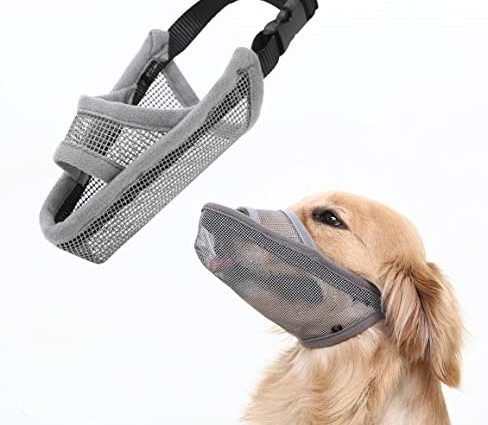 Crazy Felix Nylon Dog Muzzle for Small Medium Large Dogs, Air Mesh Breathable and Drinkable Pet Muzzle for Anti-Biting Anti-Barking Licking (M, Grey)