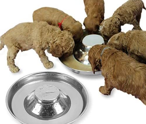 Podinor Stainless Steel Puppy Dog Bowls, Pets Puppies Feeding Food and Water Weaning Bowls Dishes Feeder